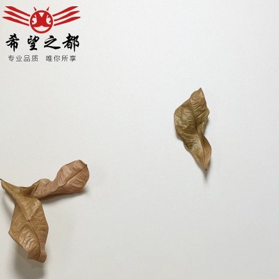 天鹅绒柔光砖超白胚奶白色微水泥瓷砖600x1200通体白色客厅地砖图3