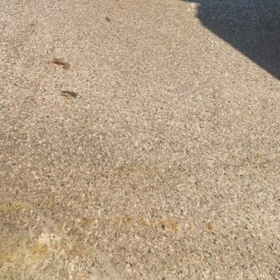 特价处理跨境专供天然石材花岗岩地铺外墙干挂小光山虾红老旷虾红图2