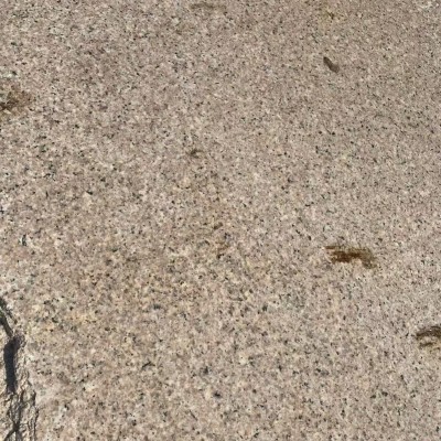 特价处理跨境专供天然石材花岗岩地铺外墙干挂小光山虾红老旷虾红图3
