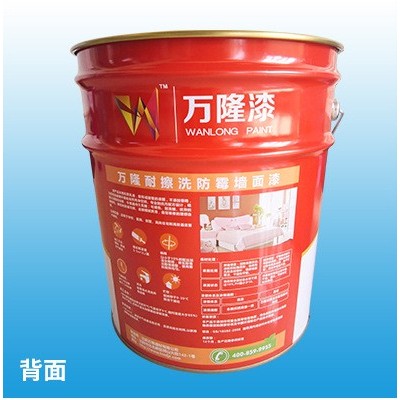 内墙乳胶漆 厂家供应白色耐擦洗乳胶漆墙面漆 丙烯酸乳胶漆图4