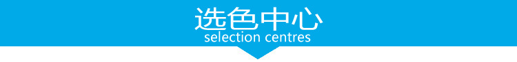 颜色选择