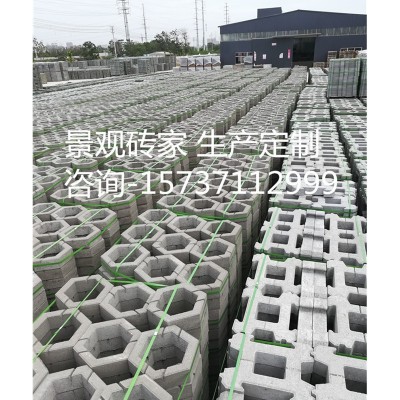 六角砖水利工程连锁式护坡砖 六边形植生护坡砌块 舒布洛克护坡砖     1块图3