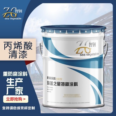 丙烯酸清漆厂家 金属钢结构机床防锈面漆 工程防锈漆      20千克图4