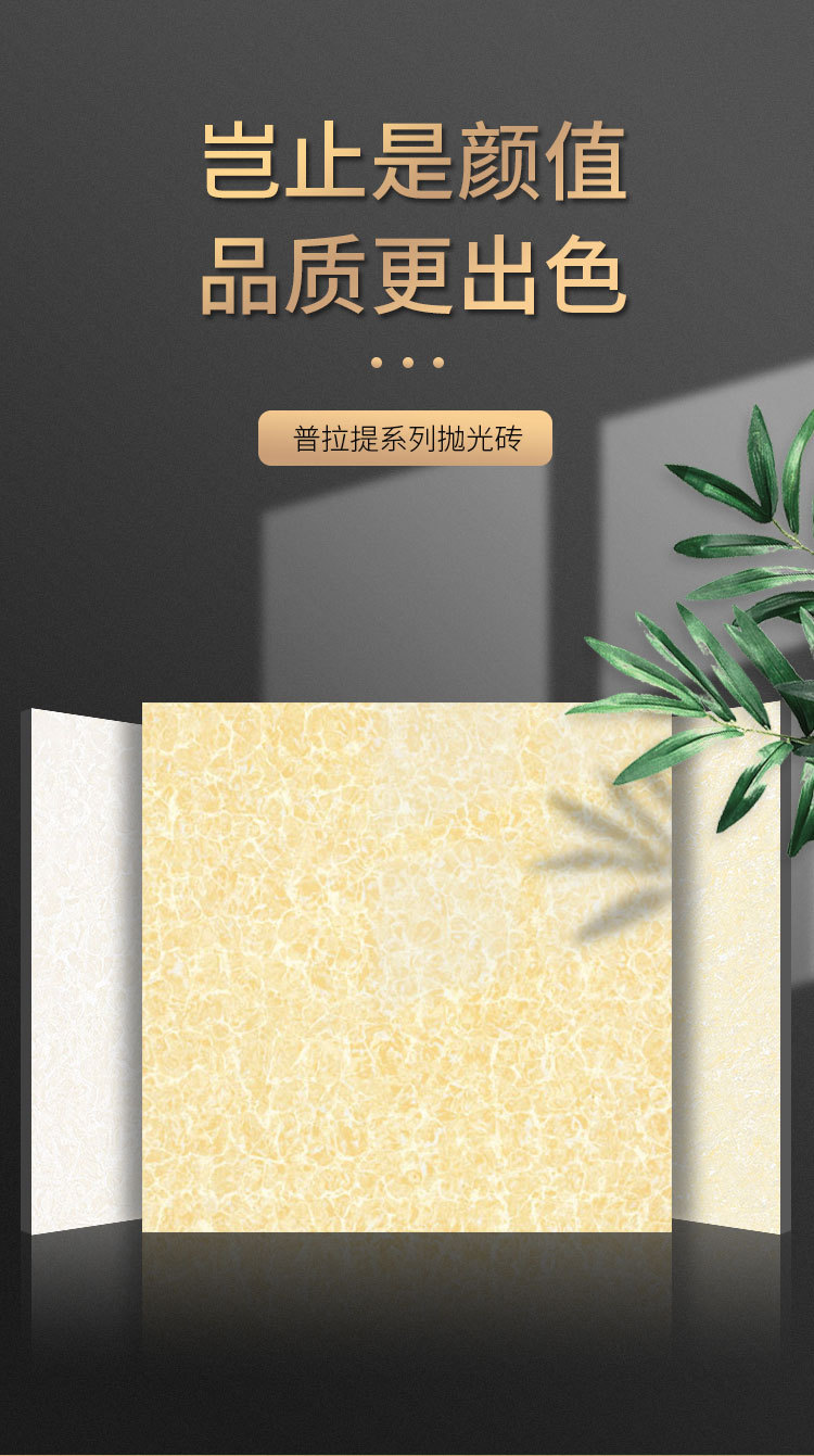 详情_01.jpg