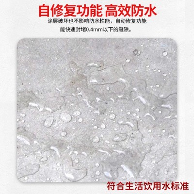增强型水泥基渗透结晶防水涂料厂家食品级I型地下室聚合物广东图3