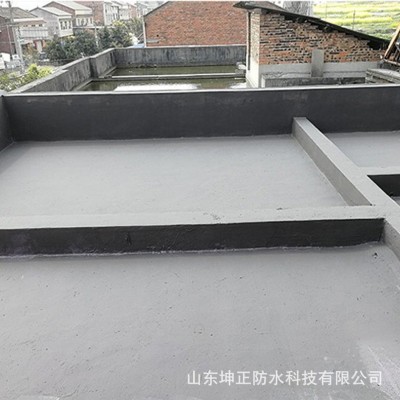 聚合物水泥基防水涂料外墙面卫生间防水补漏水池防渗透JS防水涂料图3