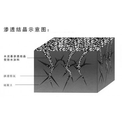 水泥基渗透结晶型防水涂料 聚合物渗透结晶 卫生间堵漏地下室防水图3