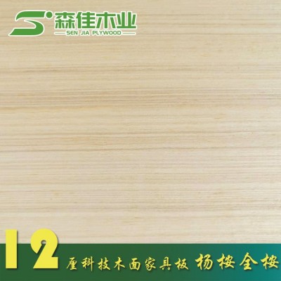 多层板胶合板可贴木皮做油漆基板科技木桃花芯5-25厘超平家具板    50张图4