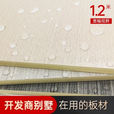 木饰面墙板竹木纤维集成墙板电视墙背景护墙板免漆木饰面板定制     1平方米图3