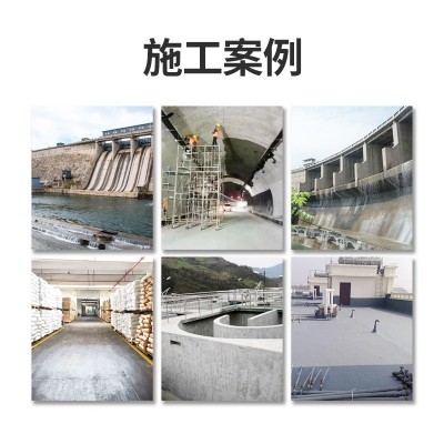 环氧树脂砂浆ECM水性环氧修补树脂胶泥隧道路面化工厂耐酸碱腐蚀图2
