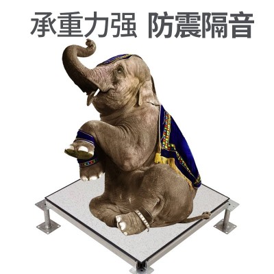厂家供应高架空pvc全钢防静电地板600*600抗静电防水耐磨地板定制图2