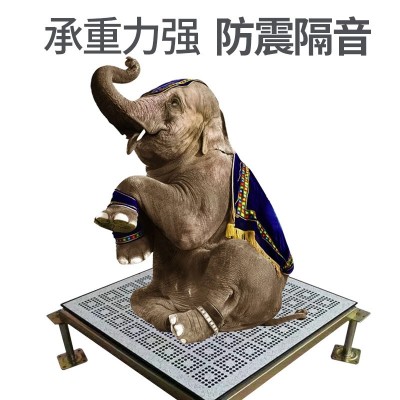 定制定做全钢防静电通风地板 高架空带孔散热办公楼专用通风地板图3