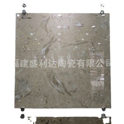 出口米色水磨石600x600全瓷地面瓷砖地砖通体浅灰色全抛釉砖800x8图5