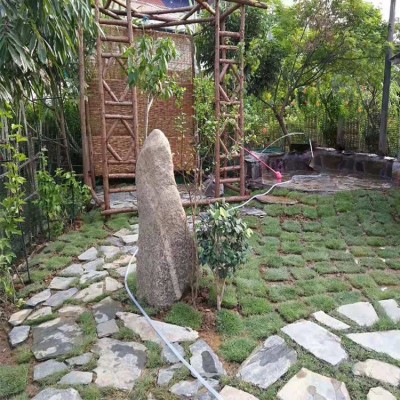 厂家批发不规则青石板碎拼石乱型文化石铺路仿古户外板岩片石毛石图4