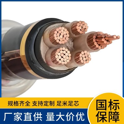 WDZB-YJY 3x2.5+2x1.5 2.5 4 6 10 16 25 35 50 70低 烟无卤电缆厂图4