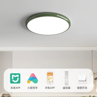 超薄LED无频闪卧室吸顶灯 护眼儿童书房间阳台全光谱奶油风餐厅灯图2