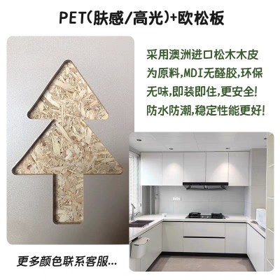 pet高光板颗粒板实木多层室内EO级肤感柜门板橱柜衣柜门欧松板图4