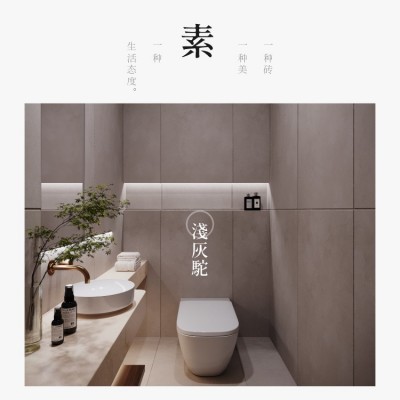 瓷砖素色砖简约现代卫生间客厅背景墙地砖微水泥仿古砖60x120