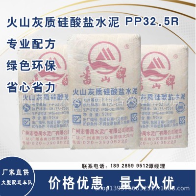 广州番山水泥P.P32.5R番山水泥批发 番山水泥厂家直供