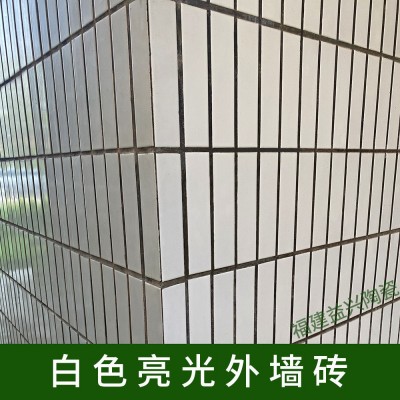 白色亮光釉面砖60x240外墙砖瓷砖自建房乡村家用农村老式砖别墅砖图1
