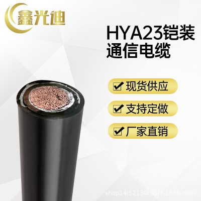 鑫光迪厂家 HYA23铠装通讯电缆 定制 铠装大对数