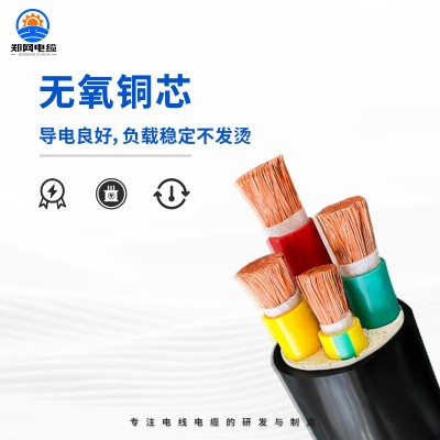 ZR-VVR RVVZ 国标铜芯软电缆16 25 35 50 70 95 120 150平方软图3