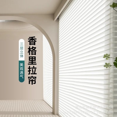 外贸现代香格里拉帘防窥免打孔百叶窗帘成品隔热防眩晕电动遮阳帘图4