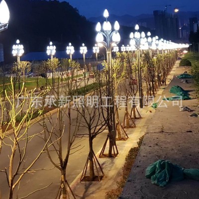 厂家批发户外广场市政工程景观灯 道路照明庭院led中华灯玉兰灯图2