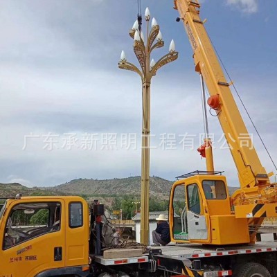 厂家批发户外广场市政工程景观灯 道路照明庭院led中华灯玉兰灯图4