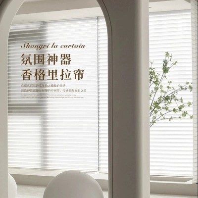 办公室香格里拉卷拉式窗帘卧室客厅阳台飘窗双层柔纱帘百叶窗卷帘图2