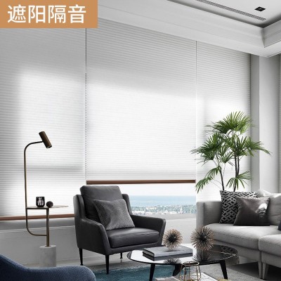 日夜蜂巢帘升降遮阳隔热蜂窝帘百叶窗帘家用卧室卫生间智能电动帘图4