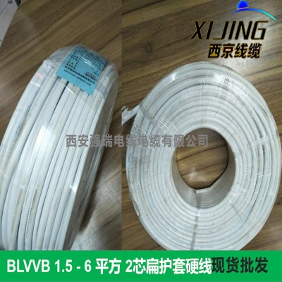 2芯/3芯 BLVVB2×2.5 mm2 300/500V聚氯乙烯绝缘铝芯硬导体线缆图3