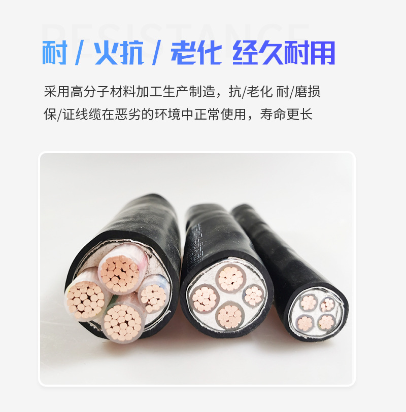 整体铜芯铠装电缆_07.jpg