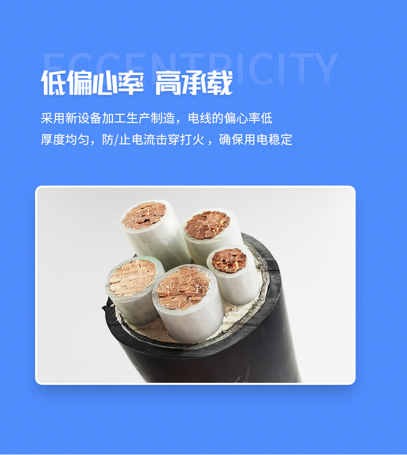 整体铜芯铠装电缆_06.jpg