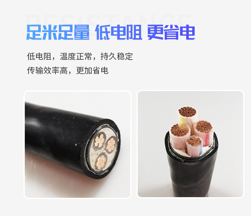 整体铜芯铠装电缆_05.jpg