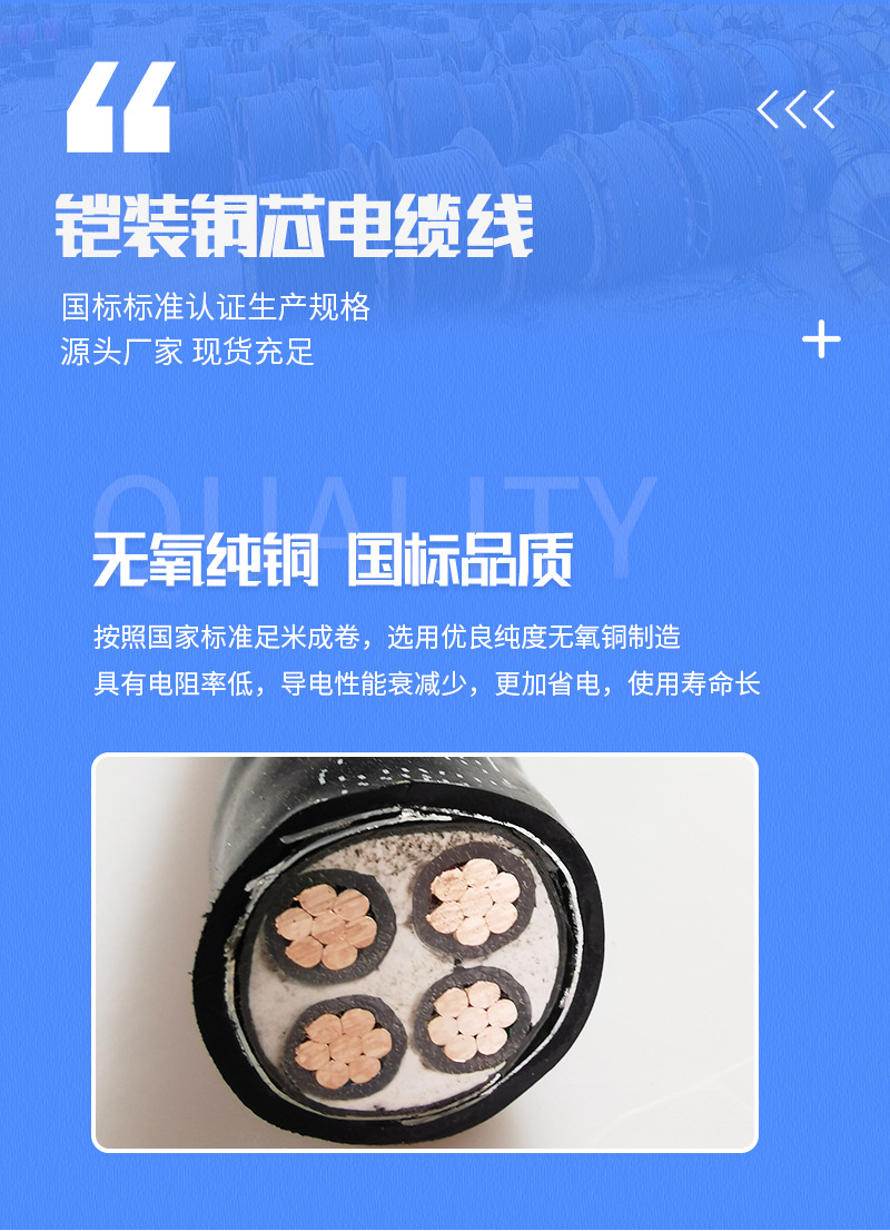 整体铜芯铠装电缆_04.jpg