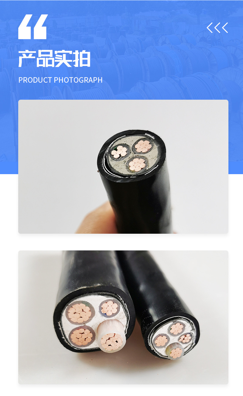 整体铜芯铠装电缆_08.jpg