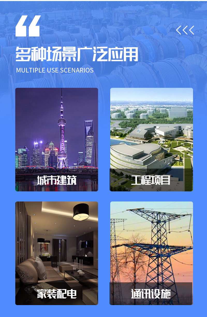 整体铜芯铠装电缆_11.jpg