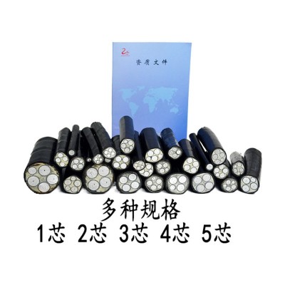 中联线缆 国标铝芯 YJLV电线电缆4*185+1铝芯铠装电缆yjlv图2