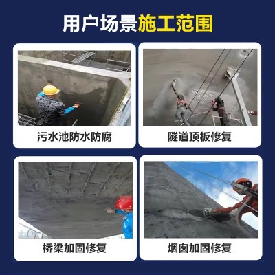 ECM环氧树脂胶泥 耐腐蚀粘耐酸砖隧道电厂桥梁露等 环氧树脂胶泥图2