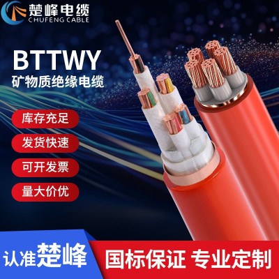 YTTWY BBTRZ BTTWY RTTZ BTWZ柔性矿物质 防火电力电 缆 源头工厂
