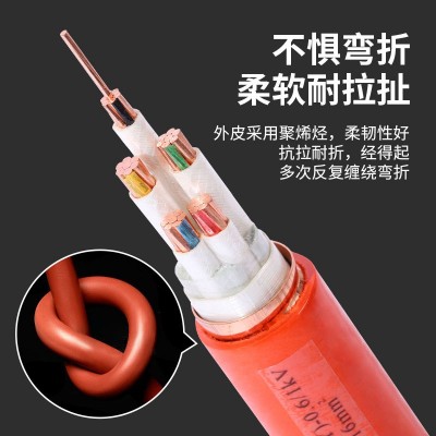 YTTWY BBTRZ BTTWY RTTZ BTWZ柔性矿物质 防火电力电 缆 源头工厂图4