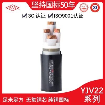广东电缆AAA牌YJV22 0.6/1kV国标铜芯交联聚乙烯绝缘铠装电力电缆
