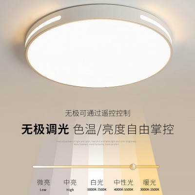 全光谱LED吸顶灯简约智能铁艺灯高级感客厅卧室灯中山家 装灯具图4
