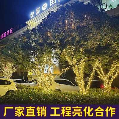led灯太阳能灯串星星灯庭院满天星装饰灯户外氛围灯防水串 灯彩灯图3