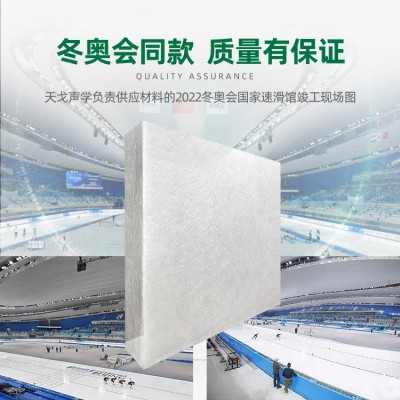 天戈无甲醛憎水棉吸音体白棉48kg玻璃吸音棉体育馆学校空间吸声体图3