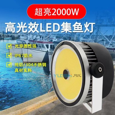 LED集鱼灯诱鱼灯户外防水大功率2000w海钓夜钓捕鱼灯引鱿鱼探照灯