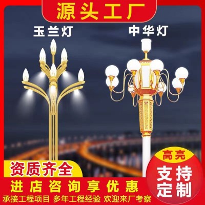 中华灯玉兰灯led户外广场大型组合灯景观市政道路灯源头厂家批发图3