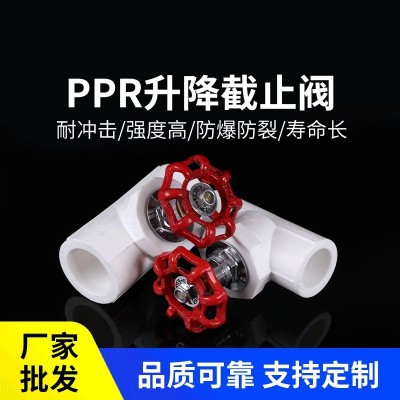 厂家批发白色管件管材ppr截止阀加厚ppr升降式截止阀水管截止阀