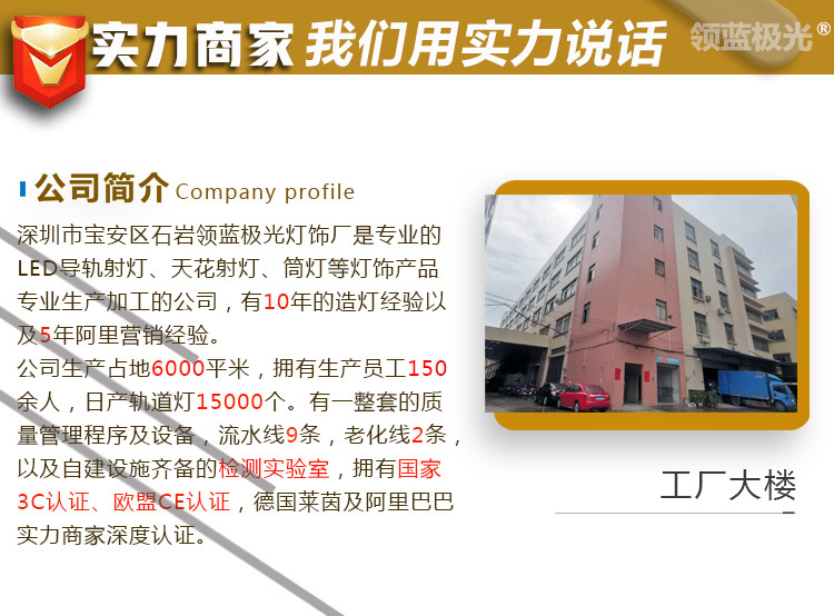 03 公司简介